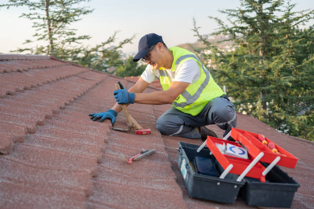 Best Roof Leak Repair  in Cahokia, IL